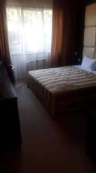 Апарт-отели Hotel Villa Ofir Сандански Стандартный двухместный номер с 1 кроватью-3